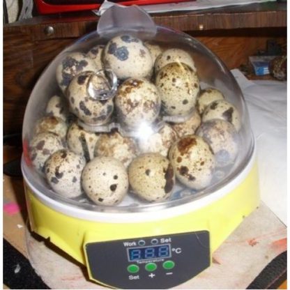 Мини-инкубатор на 7 яиц